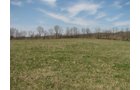 Property photo 52 - 137 Acres in 2 Tracts - 64 Tillable Acres, Potential Building Sites, Hunting